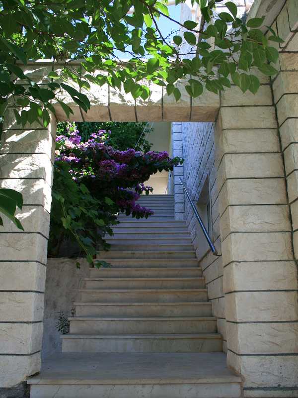 photoalbum/IMG_0097.jpg