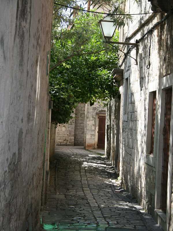 photoalbum/IMG_0314.jpg